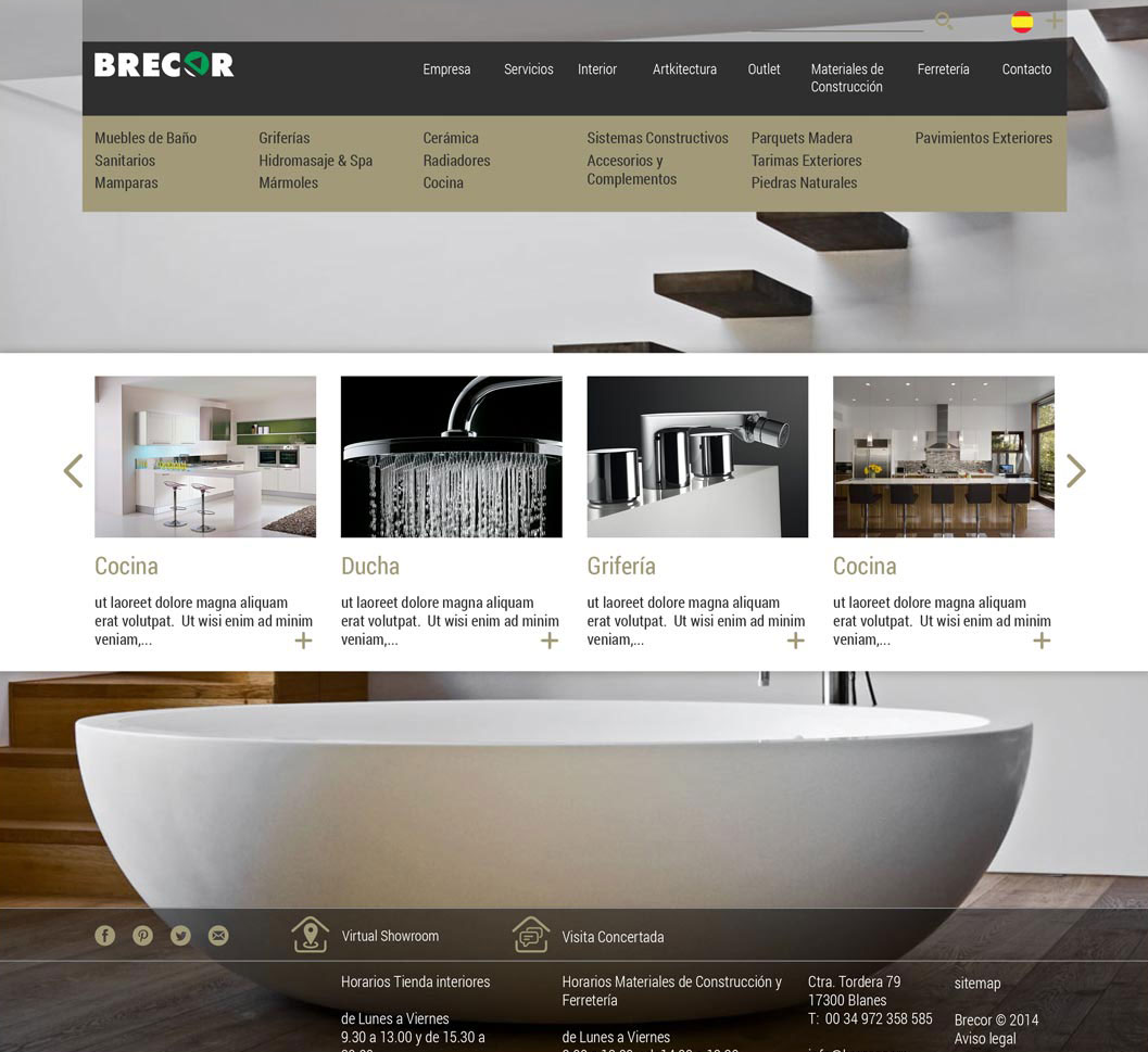 Brecor web page design