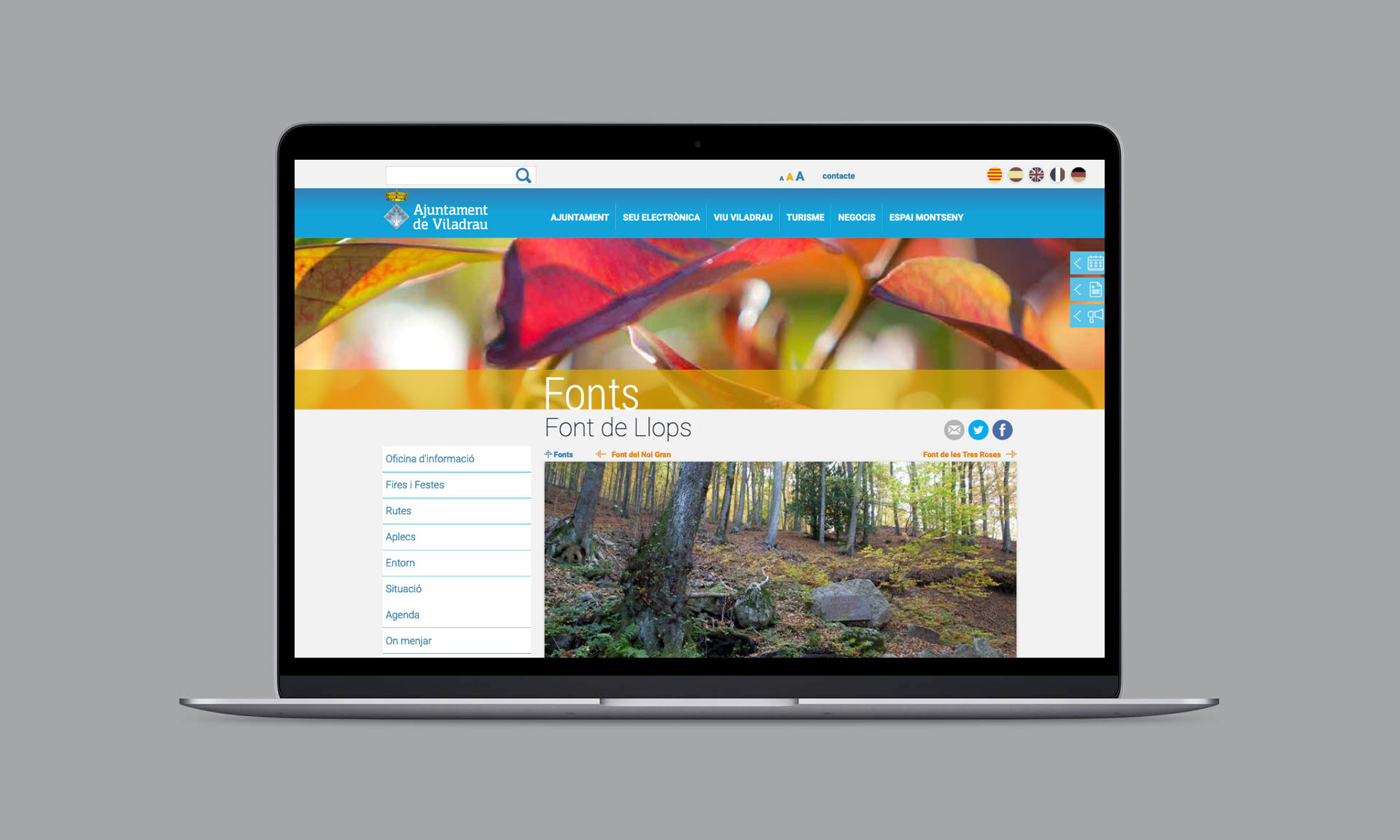 Web design for Viladrau city hall
